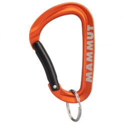 Mammut Mini Carabiner Workhorse - Materialkarabiner -Kletter Discounter mammut mammut mini carabiner workhorse materialkarabiner 1