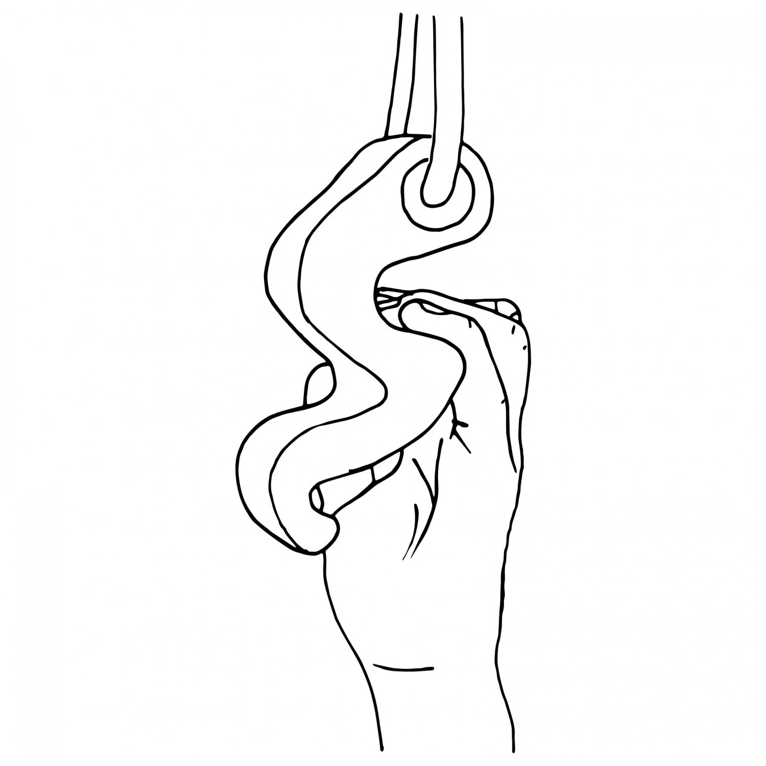 Max Climbing Maxgrip - Trainingsgriffe 2 Max Climbing Maxgrip - Trainingsgriffe – Bild 2