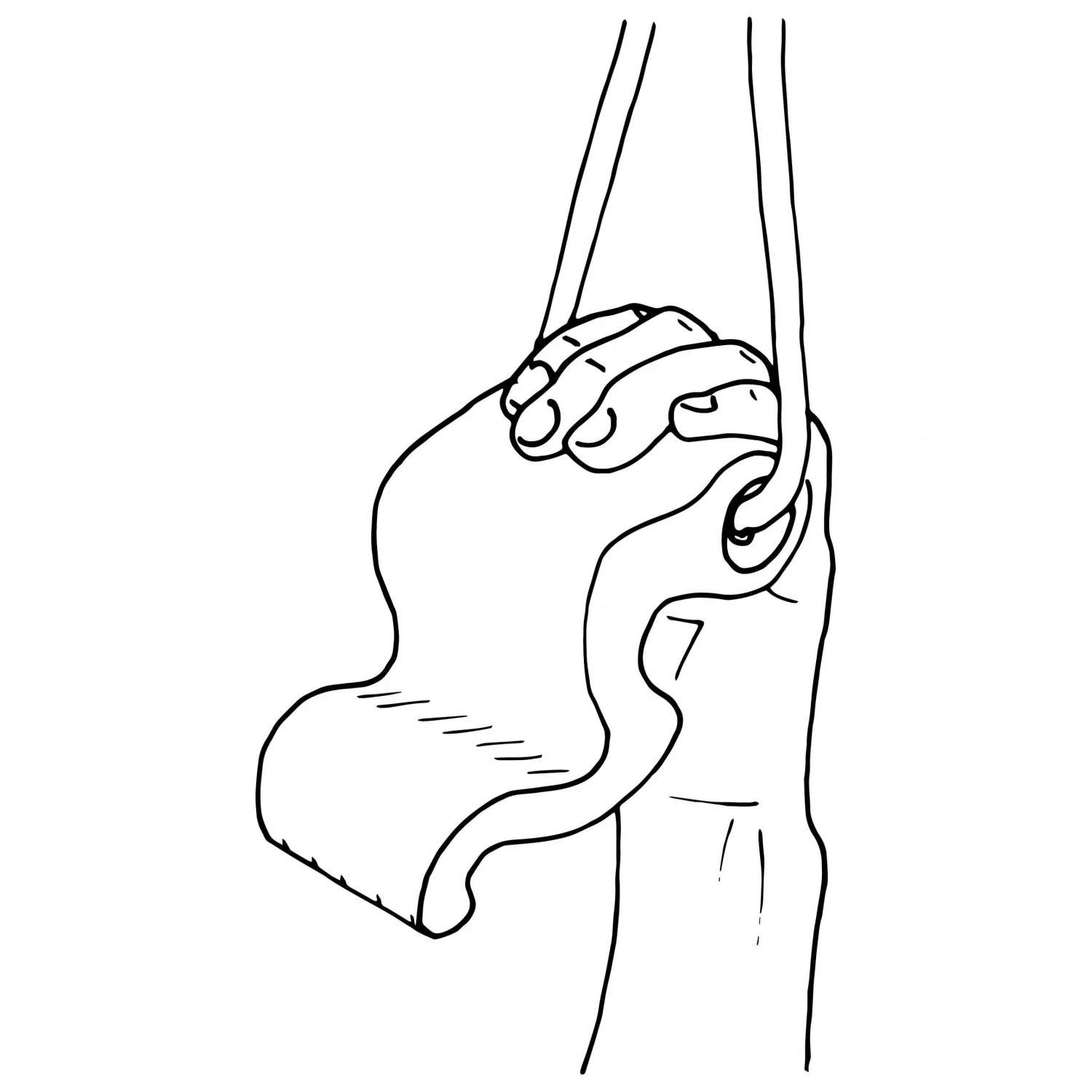 Max Climbing Maxgrip - Trainingsgriffe 3 Max Climbing Maxgrip - Trainingsgriffe – Bild 3