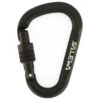 SALEWA HMS Screw G2 - HMS-Karabiner
