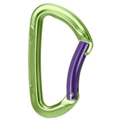 Wild Country Session Bent Gate - Schnappkarabiner